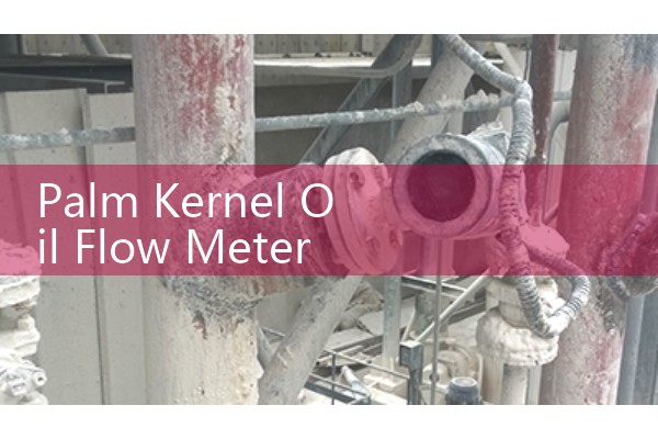Palm Kernel Oil Flow Meter Bottling Line Repeatability